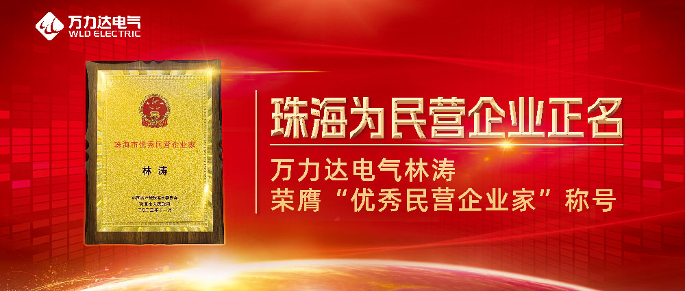 普洱为民营企业正名 bevictor伟德电气林涛荣膺“优良民营企业家”称号